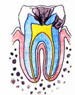 C3